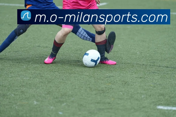 米兰体育APP 封面图